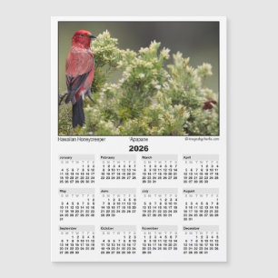 Calendário de Ímã 5x7 de 2026 Apapane Pássaro Hava