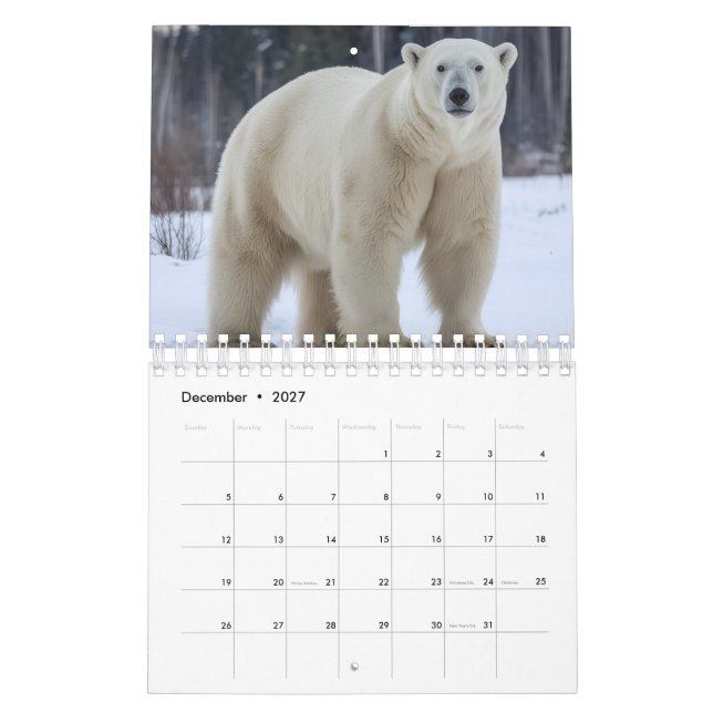 Calendário de imagens de animais (Dez 2027)