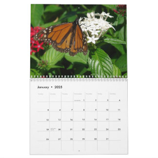 Calendário de IMAGENS WKS