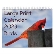 Calendário de Impressão Grande 2023 - Aves