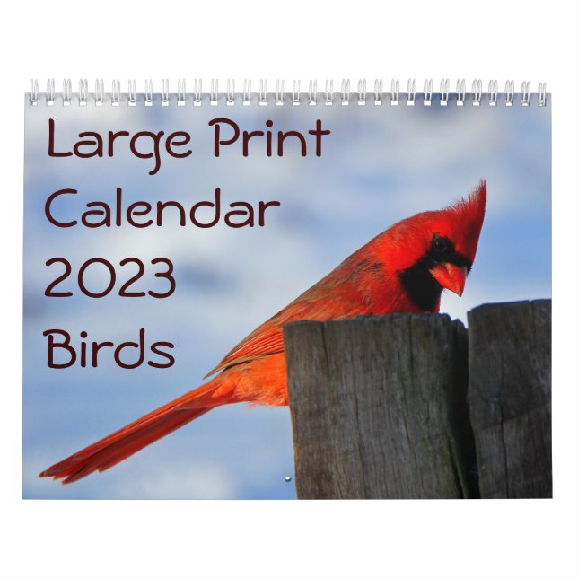 Calendário de Impressão Grande 2023 - Aves (Capa)