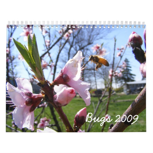 Calendário de Insetos Personalizável (Capa)