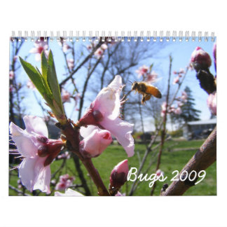 Calendário de Insetos Personalizável