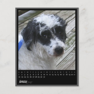 calendário de janeiro de 2012