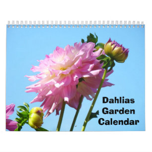 Calendário de Jardim de Dálias Fotografia Flores