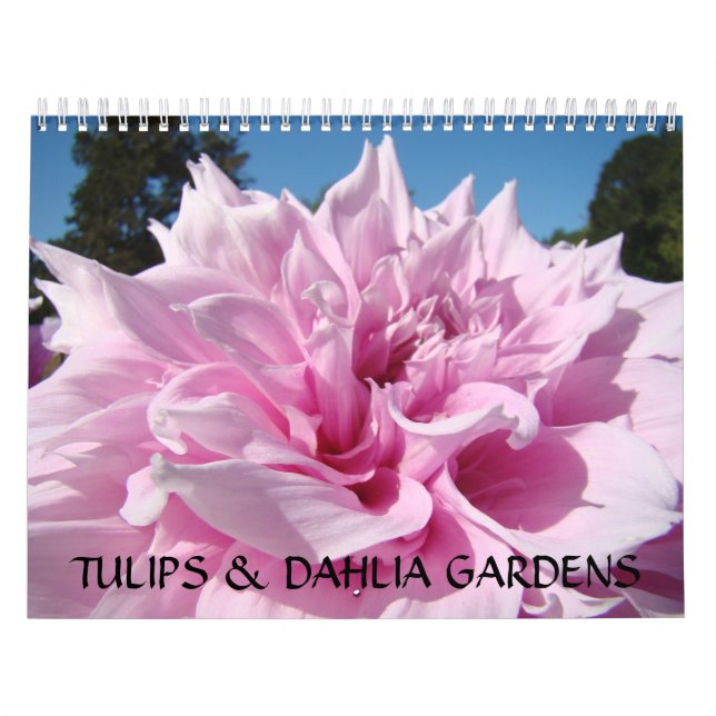CALENDÁRIO DE JARDINS DE TULIPAS & DÁLIAS Presente (Capa)
