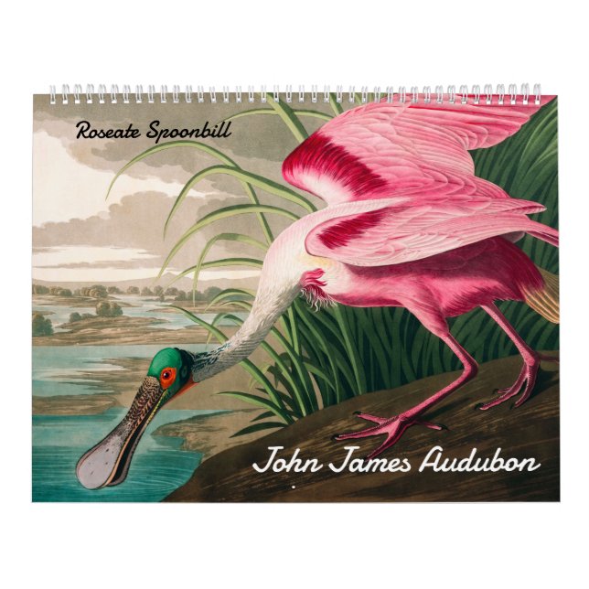 Calendário de John James Audubon (Capa)