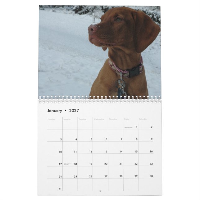 Calendário de Katie Vizsla 2012 (Jan 2027)