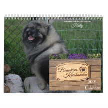 Calendário de Keeshond 2021