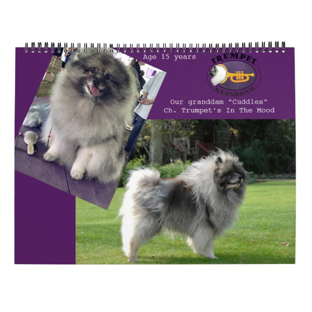 Calendário de Keeshond de Trumpet 2018 (Verso)