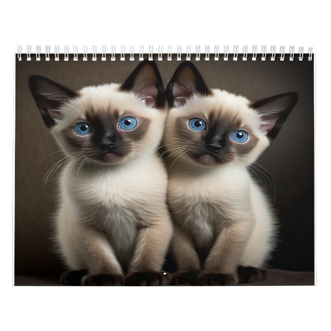 Calendário De Kitten Siamês Para Gatos (Capa)