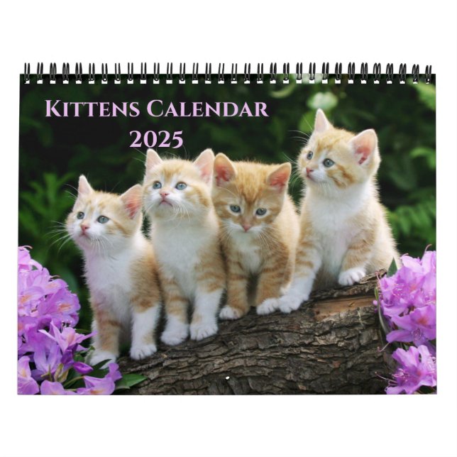 Calendário de Kittens (Capa)