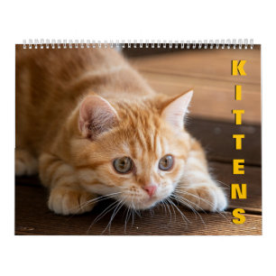 Calendário de Kittens