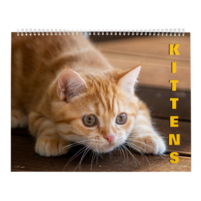 Calendário de Kittens (Capa)