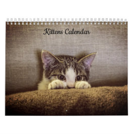 Calendário de Kittens 2026