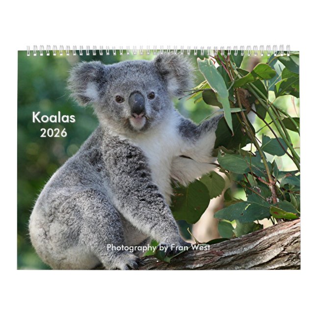 Calendário de Koala, fofinho Bonito, 2026 (Capa)