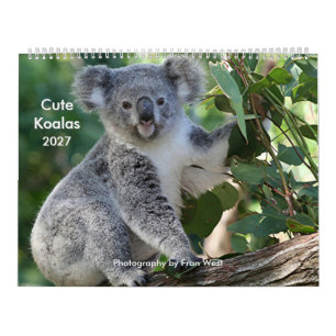 Calendário de Koala Fofo e Aconchegante 2027