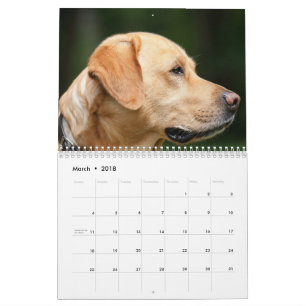 Calendário de Labrador