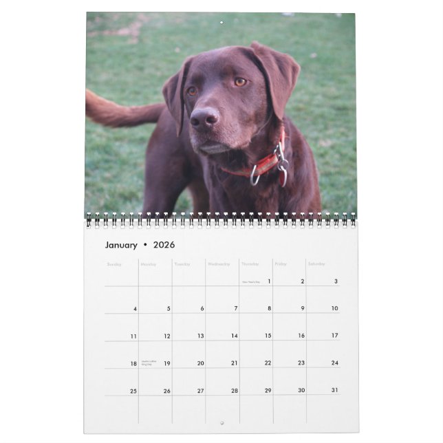 Calendário de Labrador e Ouro (Jan 2026)