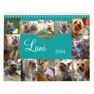 Calendário de Lanis 2014