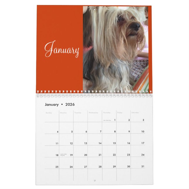 Calendário de Lanis 2014 (Jan 2026)