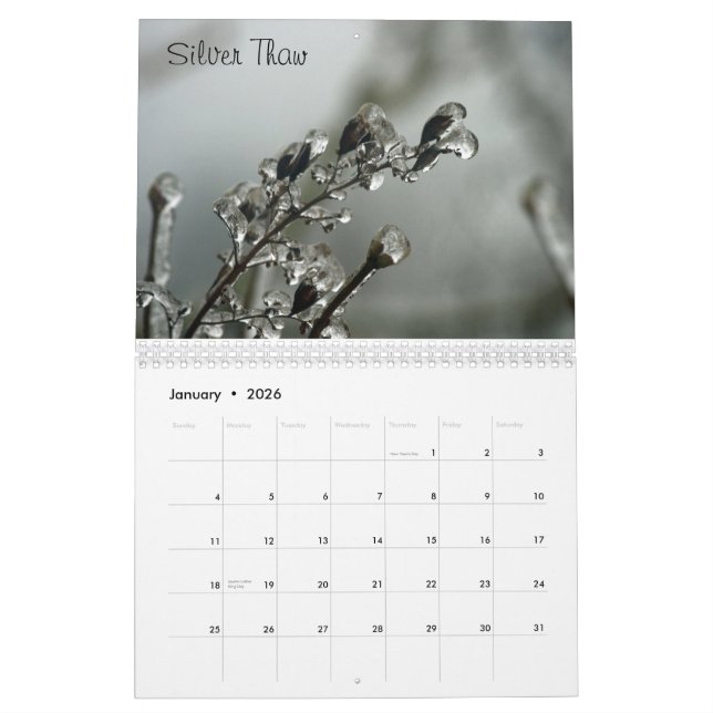 Calendário de lavagem do estado (Jan 2026)