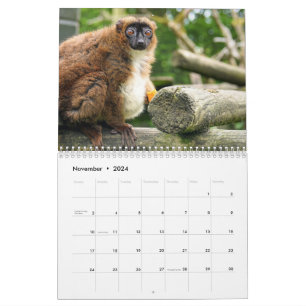 Calendário de Lemur 2025