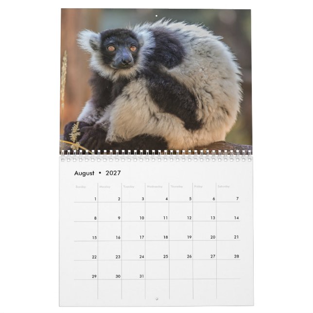 Calendário de Lemur 2025 (Ago 2027)
