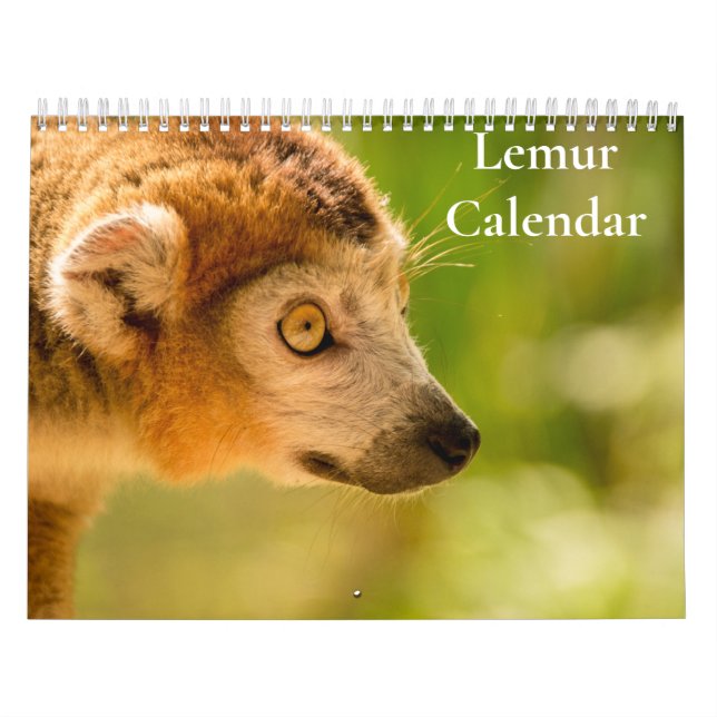 Calendário de Lêmures 2027 (Capa)