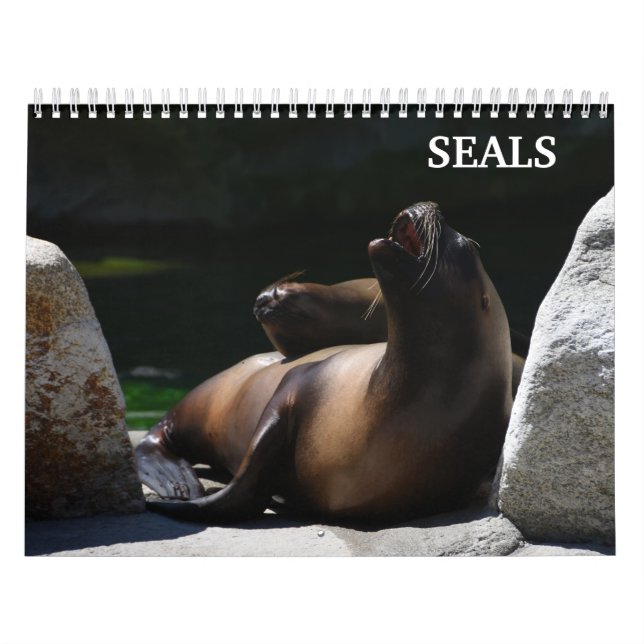 Calendário de Leões-Marinhos de 2026 (Capa)