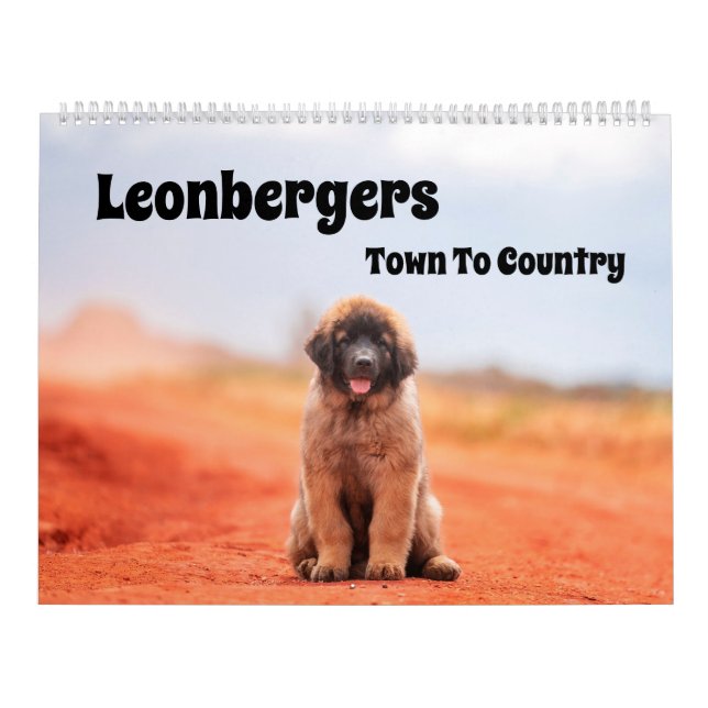 Calendário de Leonbergers de Cidade para País (Capa)
