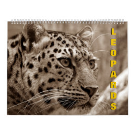 Calendário de Leopardos