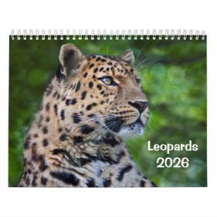 Calendário de Leopardos