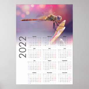 Calendário de Libélula 2022 Poster - início na seg