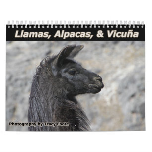 Calendário de Llama 2022 - Bolívia Llamas