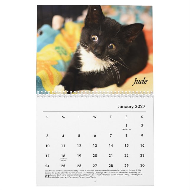 Calendário de Local da Tabby (Jan 2027)