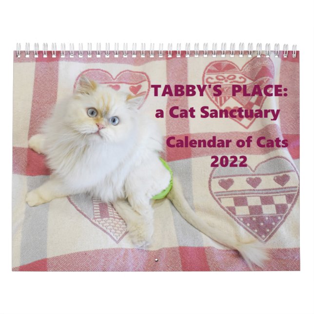 Calendário de Local de Tabby 2022 (Capa)