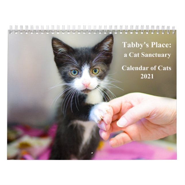 Calendário de Local do Tabby 2021 (Capa)