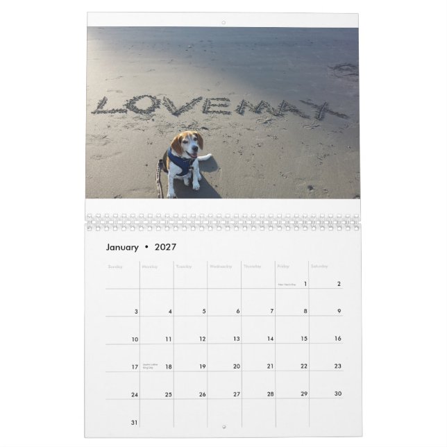 Calendário de LOVEMAX 2015 (Jan 2027)
