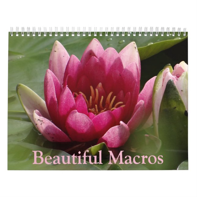 Calendário de Macros Bonito (Capa)