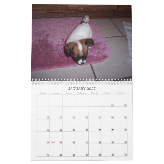 Calendário de Maggie Mae 2010 (Jan 2027)