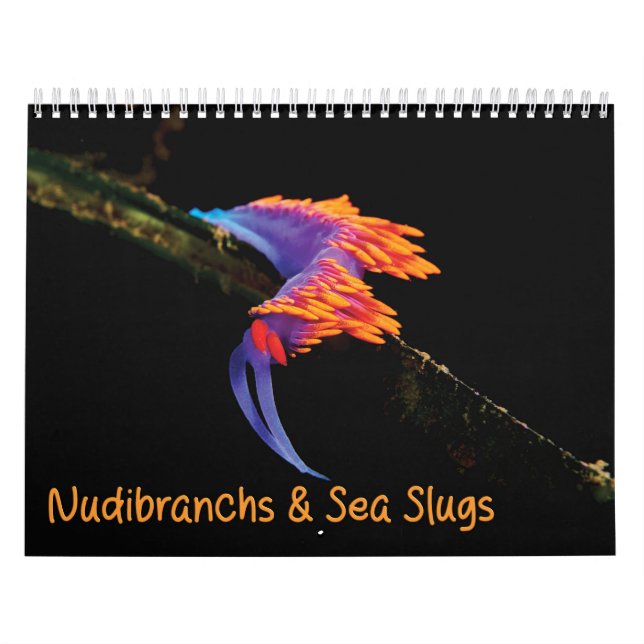 Calendário de Marcas Nucleares e Lixas Marítimas (Capa)