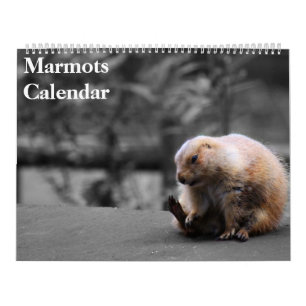Calendário de Marmotas 2027