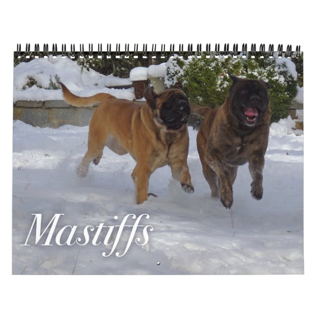 Calendário de Mastigos (Capa)