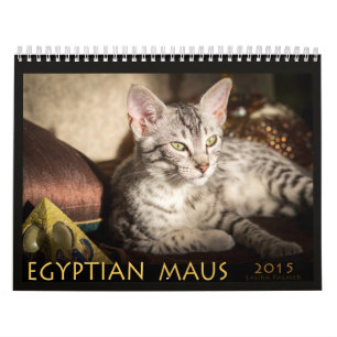 Calendário de Mau de 2015 egípcios: Gatos do