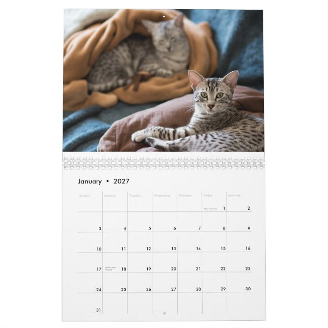 Calendário de Mau de 2015 egípcios: Gatos do (Jan 2027)