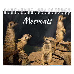 Calendário de Meercats