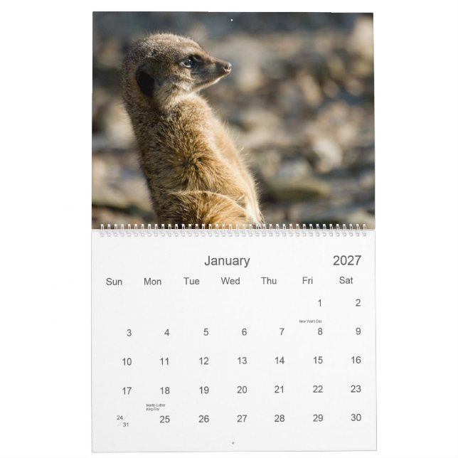 Calendário de Meerkats 2010 (Jan 2027)
