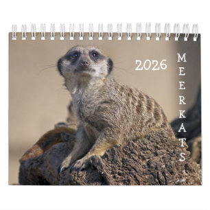 Calendário de Meerkats 2025
