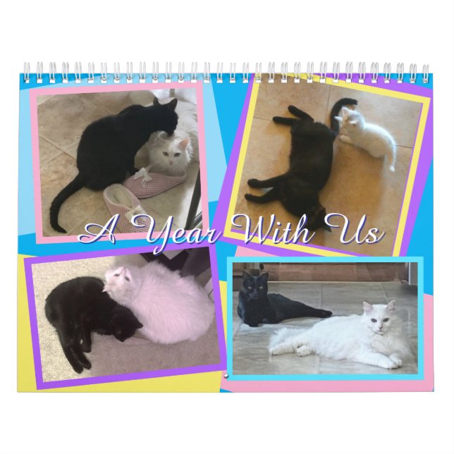 Calendário de Meus Gatos (Capa)